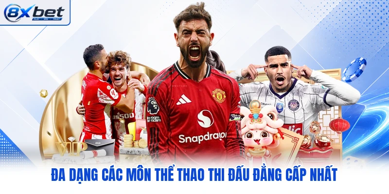 Đa dạng các môn thể thao thi đấu đẳng cấp nhất Đa dạng các môn thể thao thi đấu đẳng cấp nhất